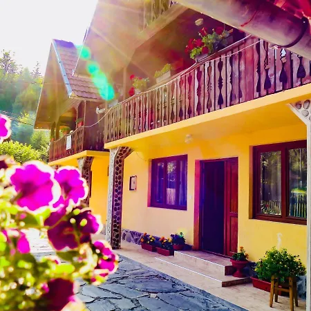 Casa Ursu Lodge Cîrţişoara
