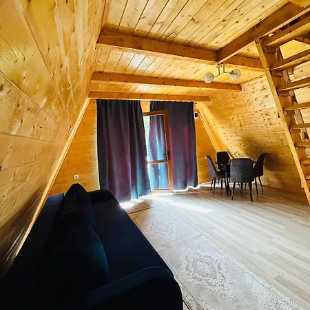 Casa Ursu Cartisoara