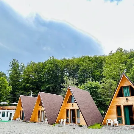 Casa Ursu *