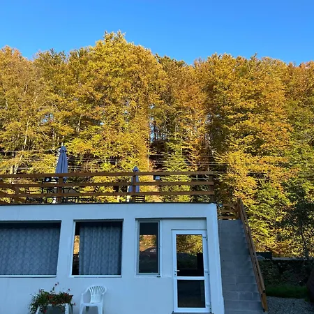 Casa Ursu * Cîrţişoara