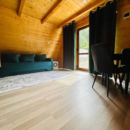 Casa Ursu * Cîrţişoara
