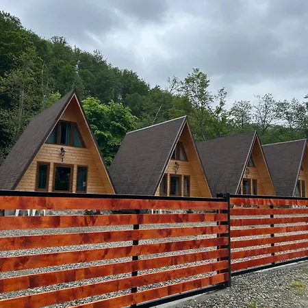 Casa Ursu *