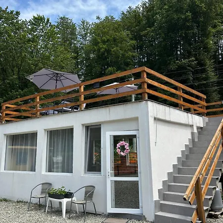 Lodge Casa Ursu Cartisoara