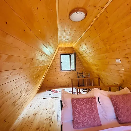 Casa Ursu Cîrţişoara