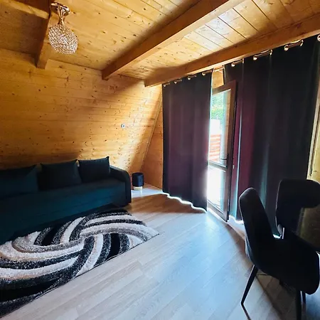 Lodge Casa Ursu *